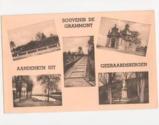 Souvenir De GRAMMONT - Aandenken Uit GEERAARDSBERGEN - Multivues - Henri Georges - Geraardsbergen