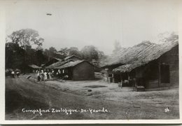CAMEROUN(YAOUNDE) ZOO - Cameroun