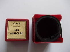 FILM FIXE ODF Les Muscles - Bobinas De Cine: 35mm - 16mm - 9,5+8+S8mm