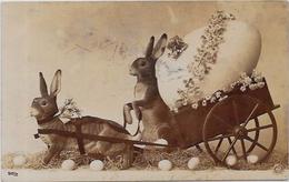 CPA Lapin Bunny Rabbit Circulé Fantaisie Pâques Position Humaine - Other & Unclassified