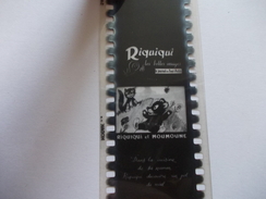 FILM FIXE Riquiqui Et Roudoudou 7 Films - 35mm -16mm - 9,5+8+S8mm Film Rolls