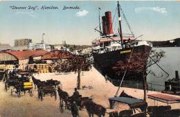 BERMUDES / Steamer Day - Hamilton - Bermuda