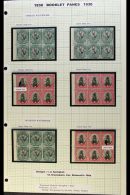 BOOKLET PANES  1930-1 COMPLETE PANES OF SIX - From Rare 1930 2s6d & 1931 3s Rotogravure Booklets. Includes... - Non Classificati