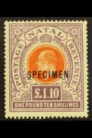 NATAL  1904 - 08 £1.10s Brown Orange And Deep Purple, Ovptd "Specimen", SG 162s, Very Fine And Fresh Mint.... - Unclassified