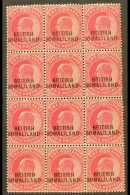 1903  KEVII 1a Carmine (SG 26) - A Never Hinged Mint BLOCK OF TWELVE (3 X 4) Including "BR1TISH" Variety (SG 26b)... - Somaliland (Protettorato ...-1959)