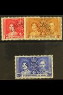 1937  Coronation Set Complete Perforated "Specimen", SG 65s/7s, Very Fine Mint Og. (3 Stamps) For More Images,... - St.Kitts Und Nevis ( 1983-...)