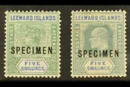 1890 & 1902  5s Green And Blue, Each Overprinted SPECIMEN, SG 8s, 28s, Large Part Gum. (2) For More Images,... - Leeward  Islands