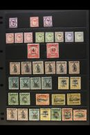 1891-1904 MINT ACCUMULATION.  A Most Useful Hoard Discovered In A Pile Of Crinkly Old Glassines, Now Presented On... - North Borneo (...-1963)