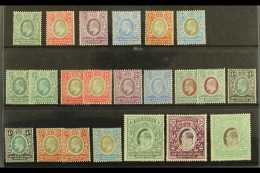 1903-07 FINE MINT SELECTION  On A Stock Card. Includes 1903-04 ½a To 2½a, 5a , 8a, 1904-07 Set To... - Vide