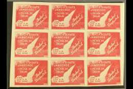 ROCKET MAIL  1937 Red Rocket Mail Stamp, "BOY SCOUTS JAMBOREE"  Pane Of 9- Signed Stephen Smith On Each Stamp.... - Other & Unclassified