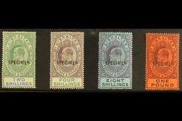 1903  "SPECIMEN" Opt'd High Values, 2s To £1, SG 52s/56s, Fine Mint (4 Stamps) For More Images, Please... - Gibraltar