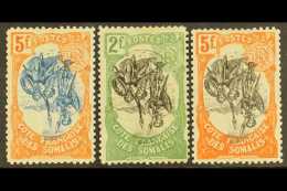 FRENCH SOMALI COAST  1902-3 5f Blue & Orange Plus 1903 2f & 5f, Each With INVERTED CENTRES (the Inverted... - Sonstige & Ohne Zuordnung