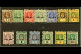 1912-20 SPECIMENS  KGV Complete Set With "SPECIMEN" Overprints, SG 40s/52s, Fine Mint With Good Colour.... - Cayman Islands