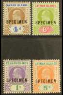 1907  Set, Overprinted "SPECIMEN", SG 13/16s, Extremely Fine Mint. (4) For More Images, Please Visit... - Cayman Islands