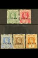 1902-03  Set, Overprinted "SPECIMEN", SG 3/7s, Fresh Mint. (5) For More Images, Please Visit... - Kaimaninseln