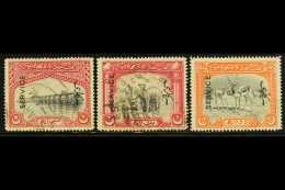 OFFICIAL  1945 (June) Vertical Overprint Set, SG O14/16, Fine Used. (3 Stamps) For More Images, Please Visit... - Bahawalpur