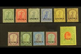 1908-14  Complete Set With "SPECIMEN" Overprints Inc Both 3d, SG 35s/47s & 40as, Fine Mint, 5s With One... - Montserrat