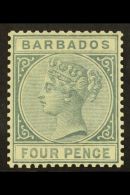 1882-86  4d Grey (1882), SG 97, Very Fine Mint For More Images, Please Visit... - Barbades (...-1966)