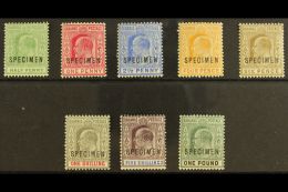 1902-06  Ed VII Set To £1 Plus 1906 ½d Green, Overprinted "Specimen", SG 62s-70s, 71s, Very Fine And... - Other & Unclassified