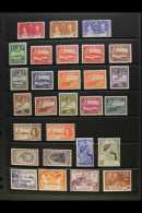 1937-51 MINT KGVI COLLECTION  A Complete "Basic" Collection Plus Some 1938-51 1d & 3d Shades. Fine Condition... - Other & Unclassified