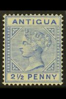 1884 VARIETY  2½d Ultramarine, Wmk Crown CA, Variety "Large 2 In ½ With Slanting Foot" - (Type B),... - Other & Unclassified