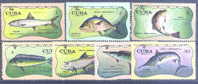 Cuba 1526/32 ** Fauna. Peces.1971 - Nuevos