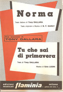 NORMA - TU CHE SAI DI PRIMAVERA	  Garay, Leoni  Edizioni Musicali Flaminia - Scholingsboek