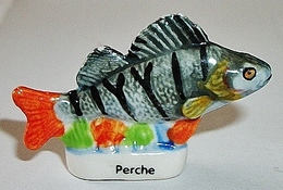 Poisson Perche (AZ) - Animaux