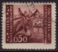 Donkey - USED - Yugoslavia VUJA Istra Istria Slovenia - Burros Y Asnos