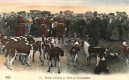 ** T1 Chasse á Courre En Foret De Fontainebleau / French Hunters - Zonder Classificatie