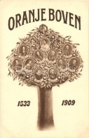 ** T1 1533-1909 Oranje Boven / Royal Family Tree Of The Netherlands - Sin Clasificación