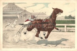 * T2 Carriage Driving Race, Horse, Mary Mill Nr. 1177. S: Kührner - Zonder Classificatie