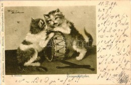 T2/T3 1899 Cats Fighting Over A Drum, A. Ackermann Kunstverlag - Künstlerpostkarte No. 459, S: A. Dreher - Zonder Classificatie