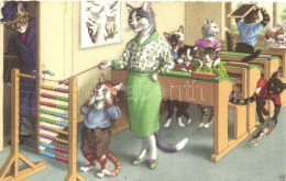 ** T2 Cat School. Colorprint Special B 2269/4. - Zonder Classificatie