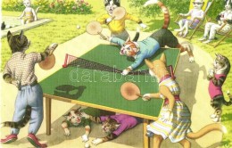 ** T2 Cats Playing Table Tennis, Humour, Alfred Mainzer - Modern Postcard - Sin Clasificación