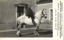 ** * 4 Db RÉGI Francia Lovas Fotó Képeslap, Motívumlap / 4 Pre-1945 French Horse Photo... - Ohne Zuordnung