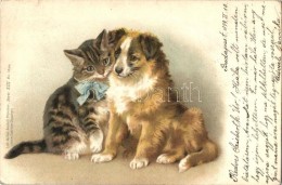 T3 1899 Cat And Dog, Lith-Artist Anstalt München, Serie XIII. No. 16904. Litho (EB) - Zonder Classificatie