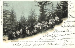 T2/T3 'Battalion De Chasserus Alpins - Sous Bois, En Reconnaissance' / Alpine Hunter Battalion During... - Non Classés