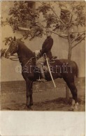 ** T3 WWI Hussar On Horse, Photo (fl) - Ohne Zuordnung