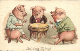 T2/T3 Boldog Újévet! / Pigs Playing Card Game. Litho - Unclassified