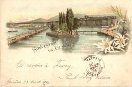T2 Geneva, Geneve; Floral, Carl Künzli No. 17 Litho - Ohne Zuordnung