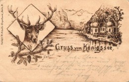 T2/T3 1898 Königsee, Deer, Verlag Von W. Schulz-Engelhardt, Litho Art Postcard S: Hannel (EK) - Zonder Classificatie