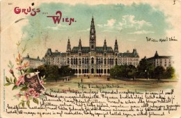 T2 Vienna, Wien, Rathaus, Verlag J. Miesler / Town Hall, Litho - Ohne Zuordnung