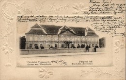 T2 Versec, Werschetz; Püspöki Lak, Kiadja Wilhelm Wettl / Episcopal Residence, Emb. Frame With New Year... - Unclassified