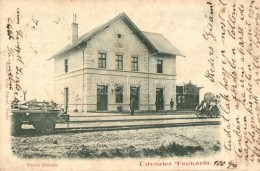 T2 Tenke, Tinca; Vasútállomás. Kiadó LÅ‘vy Dávid / Railway Station - Unclassified