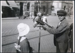 Cca 1910 Papagájos Sorshúzó Budapesten, Kerny István (1879-1963) Vintage... - Autres & Non Classés