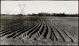 Cca 1977 Zsigri Oszkár (1933-?) Budapesti FotómÅ±vész 3 Db FotómÅ±vészeti... - Altri & Non Classificati