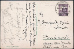 1932 A Hungária Focicsapat Tagjainak Aláírt Képeslapja Mednyánszky Mária... - Autres & Non Classés