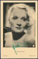 Marlene Dietrich (1901-1992) SzínésznÅ‘ Saját Kézzel Aláírt... - Other & Unclassified