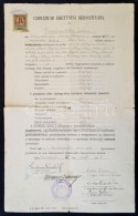 1924 Kecskemét, Gimnáziumi érettségi Bizonyítvány, 5000K... - Non Classificati